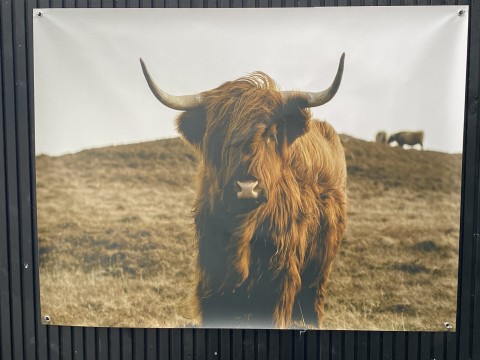 Tuinposter Hooglander xxl