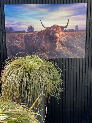 Tuinposter hooglander