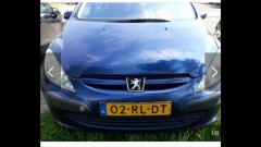 Peugeot 307    300 euro