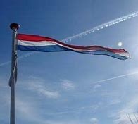 Elke vlag en wimpel  in elk gewenst formaat    COWI