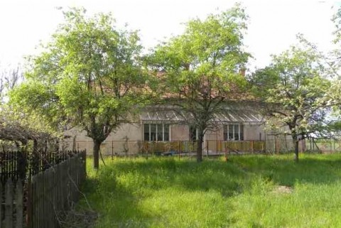 Leuke boerderij  maar ook een leuke investering voor maar € 40 000