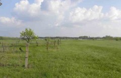 Leuke boerderij  maar ook een leuke investering voor maar € 40 000