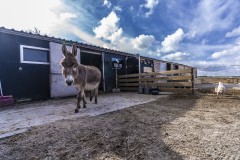 Vrijstaande levensloopbestendige woonboerderij in Nieuwe Pekela