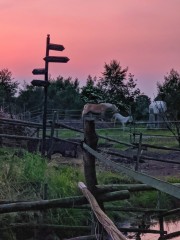 Boerderijtje  net over de grens   op 5700 meter 399000 euro