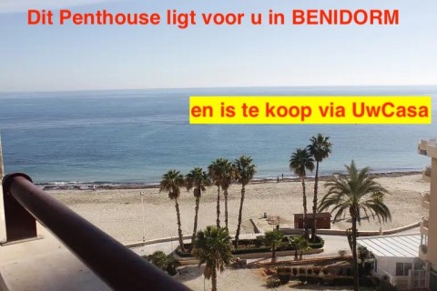 Uw eigen Penthouse