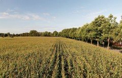 Unieke aanbieding boerderij huis In behandeling