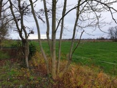 Boerderij leuke opknapper VERKOCHT