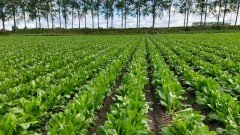 Gezocht een boerderij woning om te pachten huren