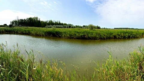 Te Huur klein boerderijtje midden in de natuur