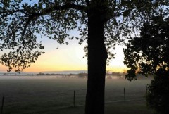 Vrijstaande bungalow te huur op top een locatie