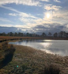 Vrijstaande bungalow te huur op top een locatie