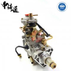 VE Fuel Injection Pump VE3 9F1500L376AG