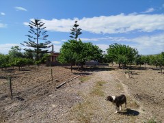 Zie de prijs  Landhuis  2 garages 150m2 groot en kust ligging Italie