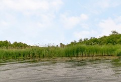 Boerderij te koop via Staatsbosbeheer NIET MEER BESCHIKBAAR