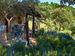 SPANJE: SW ANDALUCIA - een eenvoudig huis met bostuin, off-grid, in ee